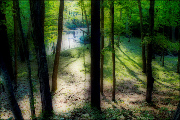 MyDayMyInterestsPhotoblog: Ando...